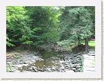 06 Salt Springs 3 * 2592 x 1944 * (3.43MB)
